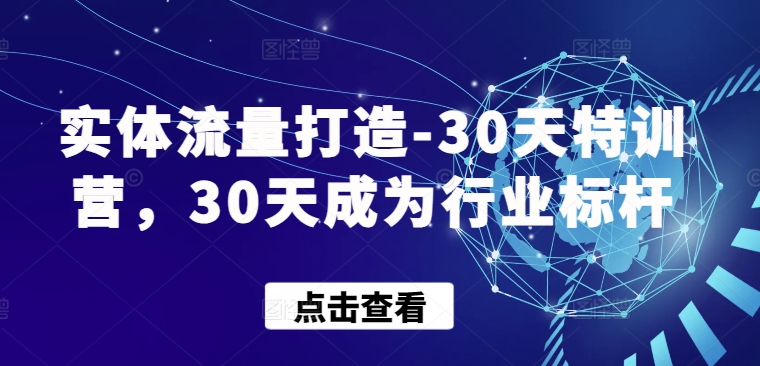 实体流量打造-30天特训营，30天成为行业标杆-搞钱社