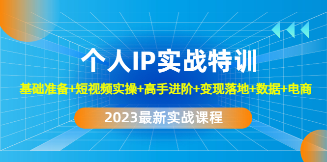 2023个人IP实战特训：基础准备+短视频实操+高手进阶+变现落地+数据+电商-搞钱社