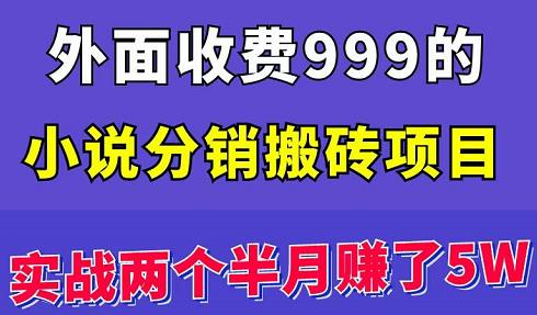 外面收费999的小说分销搬砖项目：实战两个半月赚了5W块，操作简单！￼-搞钱社