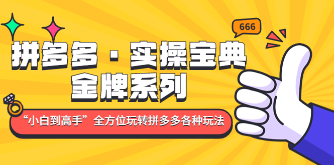 拼多多·实操宝典：金牌系列“小白到高手”带你全方位玩转拼多多各种玩法-搞钱社