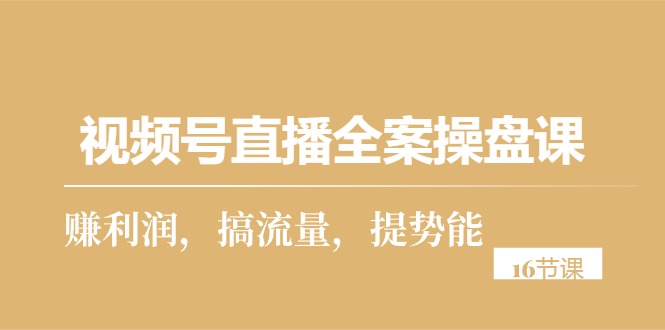 （10207期）视频号直播全案操盘课，赚利润，搞流量，提势能（16节课）-搞钱社