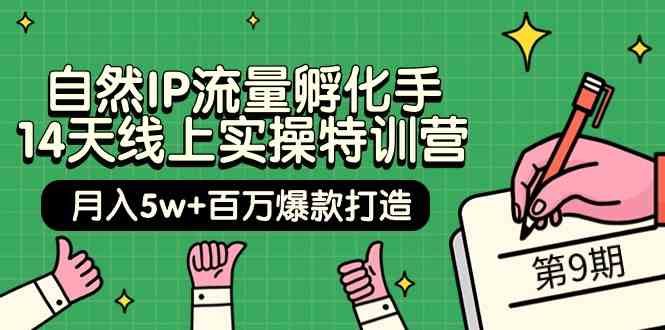 自然IP流量孵化手14天线上实操特训营【第9期】月入5w+百万爆款打造 (74节)-搞钱社