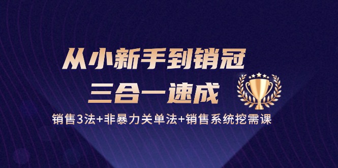 （10799期）从小新手到销冠 三合一速成：销售3法+非暴力关单法+销售系统挖需课 (27节)-搞钱社