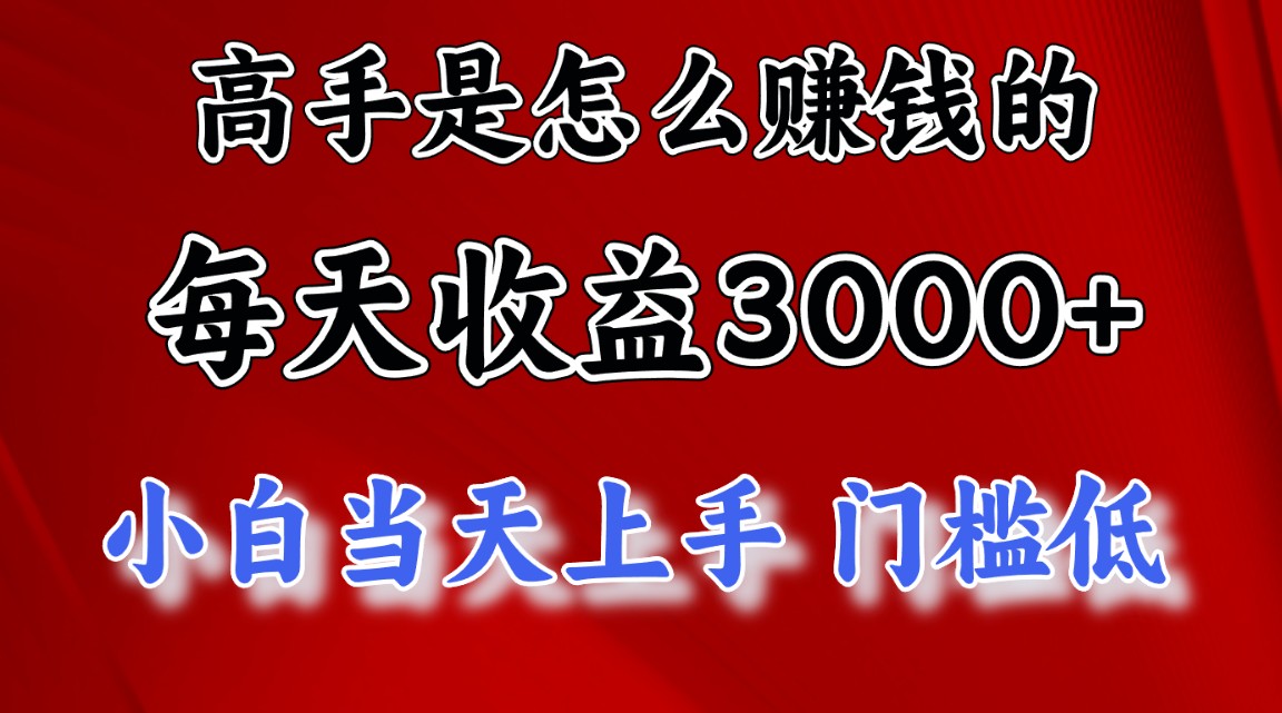 高手是怎么赚钱的，一天收益3000+ 这是穷人逆风翻盘的一个项目，非常…-搞钱社