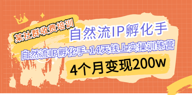 某社群收费培训：自然流IP 孵化手-14天线上实操训练营 4个月变现200w-搞钱社