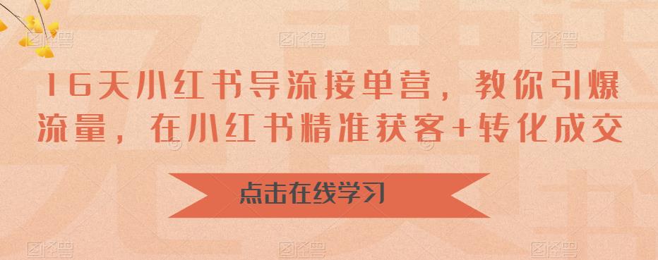 16天-小红书 导流接单营，教你引爆流量，在小红书精准获客+转化成交-搞钱社