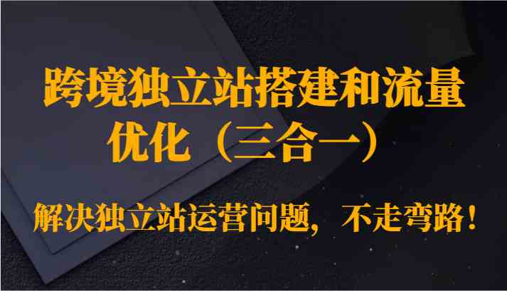 跨境独立站搭建和流量优化（三合一）解决独立站运营问题，不走弯路！-搞钱社