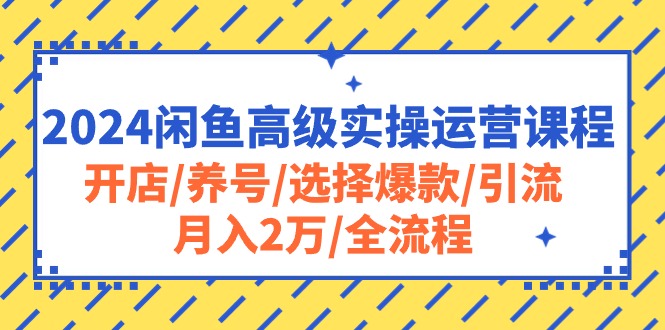 （10711期）2024闲鱼高级实操运营课程：开店/养号/选择爆款/引流/月入2万/全流程-搞钱社