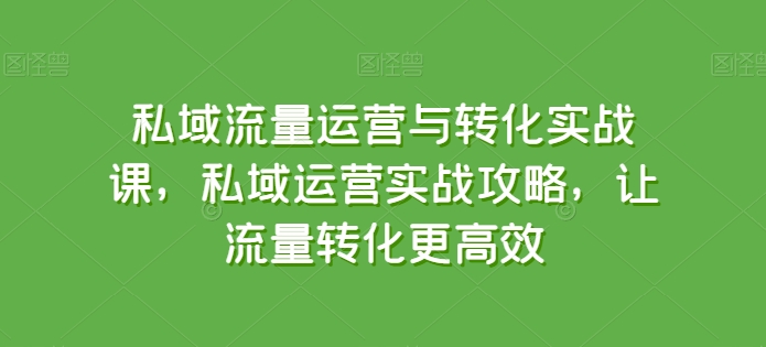 私域流量运营与转化实战课，私域运营实战攻略，让流量转化更高效-搞钱社