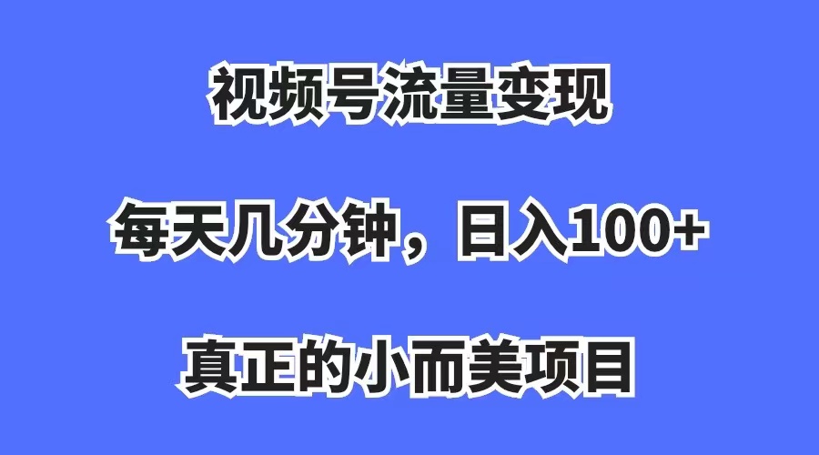 视频号流量变现，每天几分钟，收入100+，真正的小而美项目-搞钱社