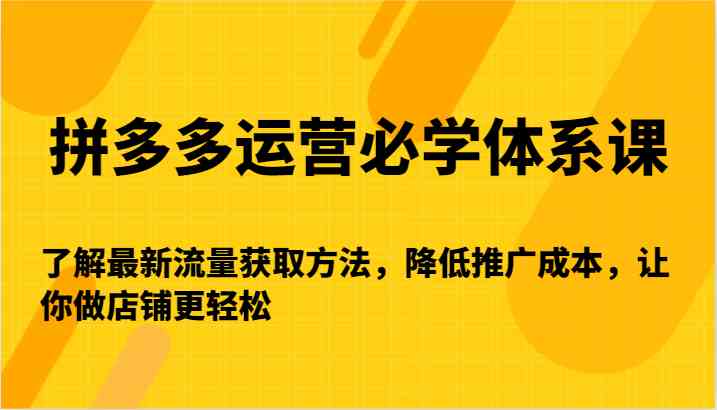 拼多多运营必学体系课-了解最新流量获取方法，降低推广成本，让你做店铺更轻松-搞钱社