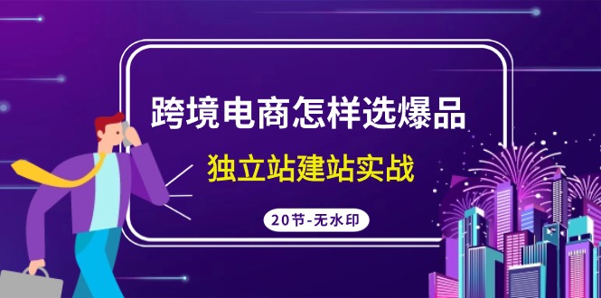 跨境电商怎样选爆品，独立站建站实战（20节高清课）-搞钱社