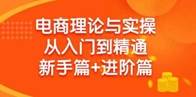 （9576期）电商理论与实操从入门到精通 新手篇+进阶篇-搞钱社