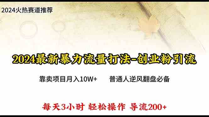 （10151期）2024年最新暴力流量打法，每日导入300+，靠卖项目月入10W+-搞钱社