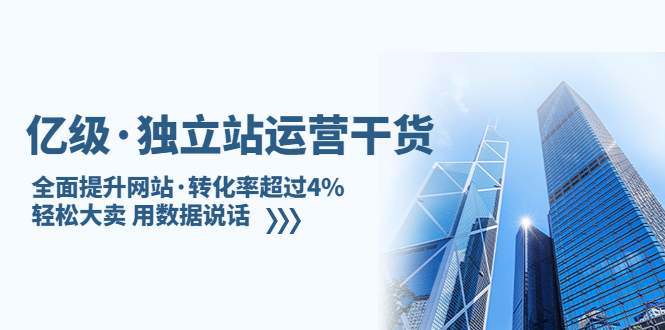 亿级·独立站运营干货：全面提升网站·转化率超过4%，轻松大卖 用数据说话-搞钱社