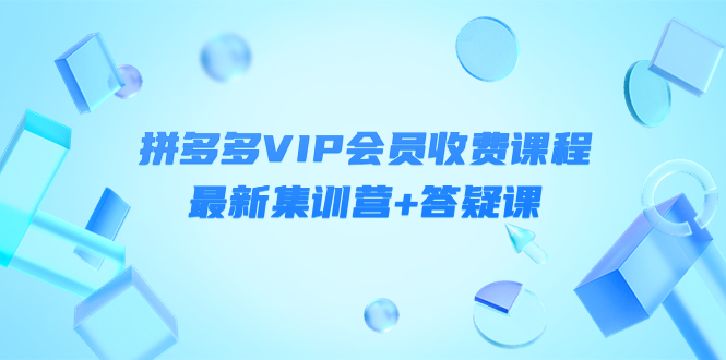 某社群·拼多多VIP会员收费课程，最新集训营+答疑课-价值3299元￼-搞钱社