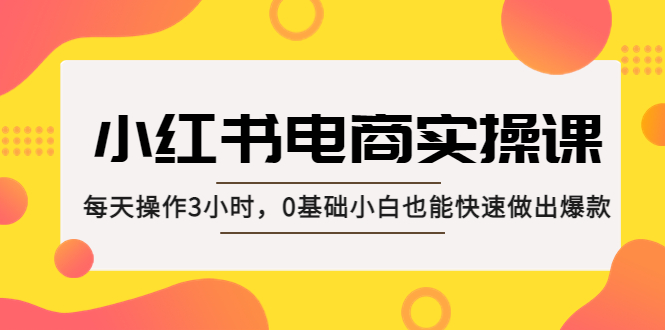 小红书·电商实操课：每天操作3小时，0基础小白也能快速做出爆款！-搞钱社