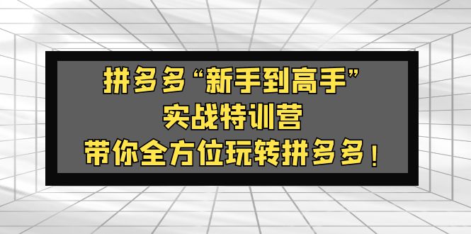 拼多多“新手到高手”实战特训营：带你全方位玩转拼多多！-搞钱社