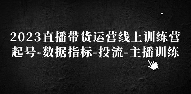 2023直播带货运营线上训练营，起号-数据指标-投流-主播训练-搞钱社