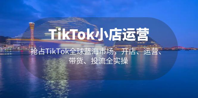 TikTok小店运营 抢占TikTok全球蓝海市场，开店、运营、带货、投流全实操-搞钱社