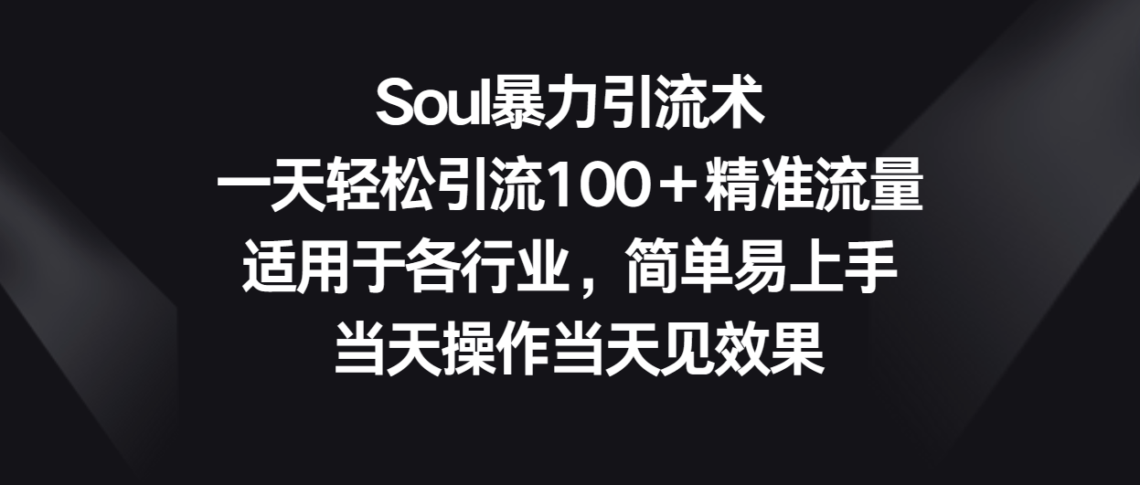 Soul暴力引流术，一天轻松引流100＋精准流量，适用于各行业，简单易上手！-搞钱社