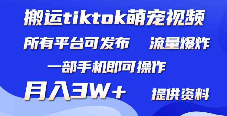 （9618期）搬运Tiktok萌宠类视频，一部手机即可。所有短视频平台均可操作，月入3W+-搞钱社