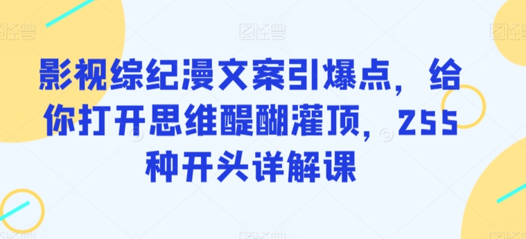 影视综纪漫文案引爆点，给你打开思维醍醐灌顶，255种开头详解课-搞钱社