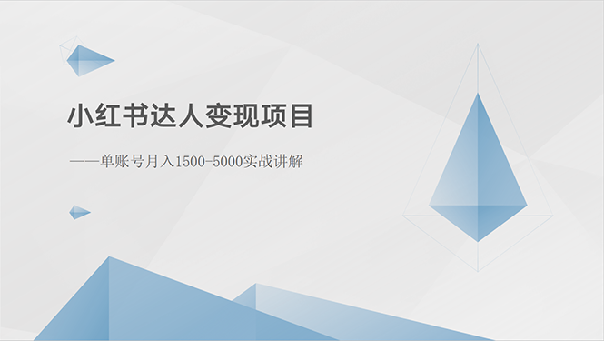 （10720期）小红书达人变现项目：单账号月入1500-3000实战讲解-搞钱社