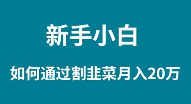 （9308期）新手小白如何通过割韭菜月入 20W-搞钱社