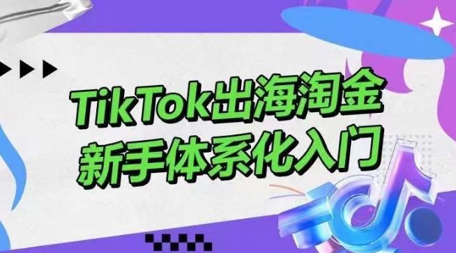 TikTok出海淘金，新手体系化入门，零基础快速入门，掌握短视频、直播带货等引流到变现的知识-搞钱社