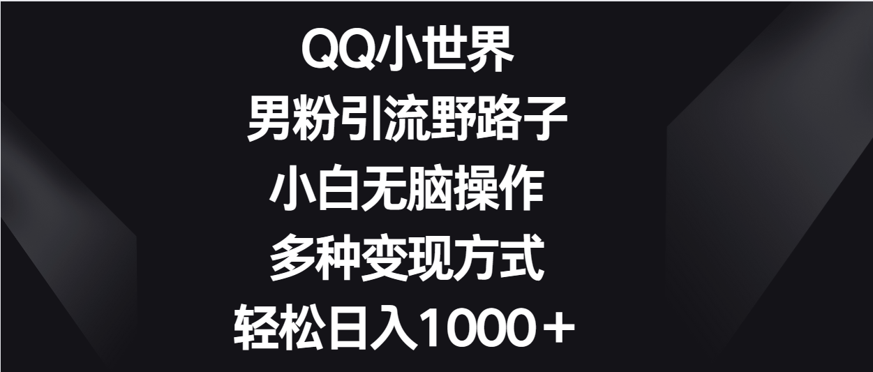 QQ小世界男粉引流野路子，小白无脑操作，多种变现方式轻松日入1000＋-搞钱社