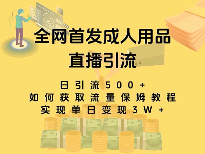 最新全网独创首发，成人用品直播引流获客暴力玩法，单日变现3w保姆级教程-搞钱社