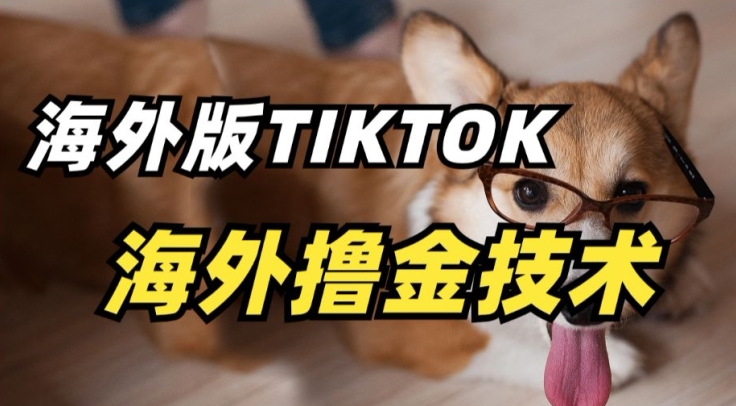 抖音海外版tiktok撸金技术，这个风口行业，赚钱真的不难-搞钱社