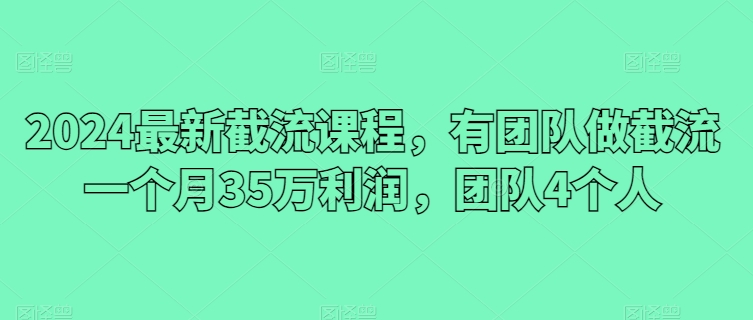 2024最新截流课程，有团队做截流一个月35万利润，团队4个人-搞钱社