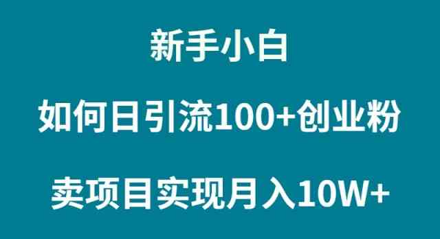 （9556期）新手小白如何通过卖项目实现月入10W+-搞钱社