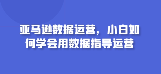 亚马逊数据运营，小白如何学会用数据指导运营-搞钱社