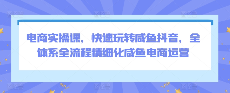 电商实操课，快速玩转咸鱼抖音，全体系全流程精细化咸鱼电商运营-搞钱社