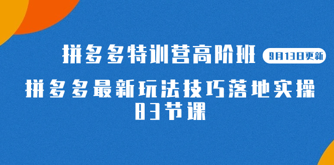 2023拼多多·特训营高阶班【9月19日更新】拼多多最新玩法技巧落地实操-83节-搞钱社