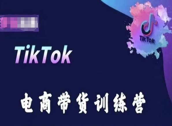 TikTok电商带货训练营，跟随时代潮流，跨境掘金-搞钱社