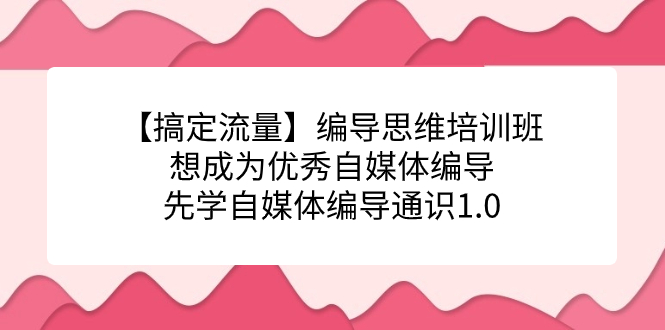 【搞定流量】编导思维培训班，想成为优秀自媒体编导先学自媒体编导通识1.0-搞钱社