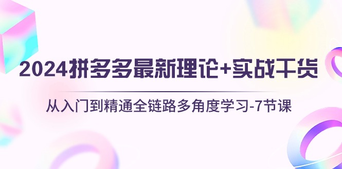 （10816期）2024拼多多 最新理论+实战干货，从入门到精通全链路多角度学习-7节课-搞钱社