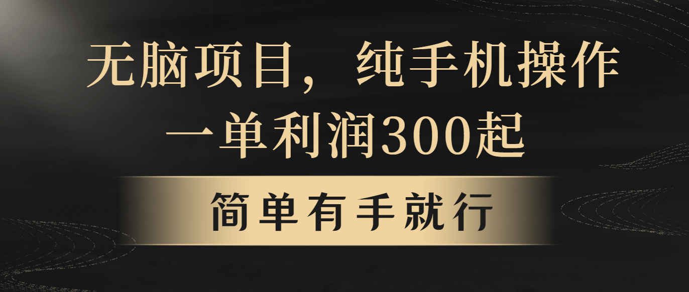 （10699期）无脑项目，一单几百块，轻松月入5w+，看完就能直接操作-搞钱社