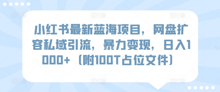 小红书最新蓝海项目，网盘扩容私域引流，暴力变现，日入1000+（附100T占位文件）-搞钱社