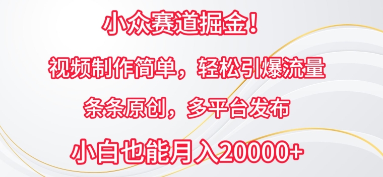 小众赛道掘金，视频制作简单，轻松引爆流量，条条原创，多平台发布-搞钱社