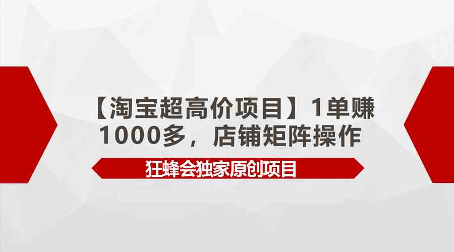 （9849期）【淘宝超高价项目】1单赚1000多，店铺矩阵操作-搞钱社