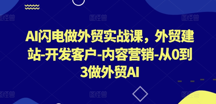 AI闪电做外贸实战课，​外贸建站-开发客户-内容营销-从0到3做外贸AI-搞钱社