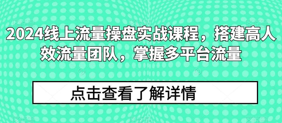 2024线上流量操盘实战课程，搭建高人效流量团队，掌握多平台流量-搞钱社