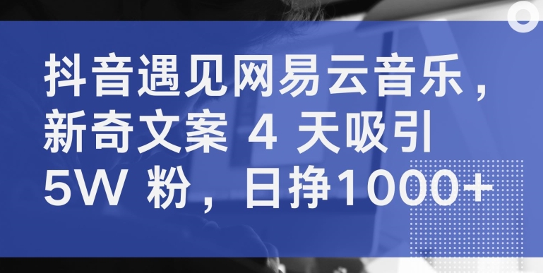 抖音遇见网易云音乐，新奇文案 4 天吸引 5W 粉，日挣1000+-搞钱社