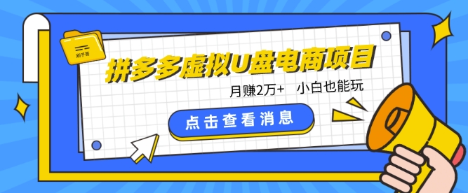 拼多多虚拟U盘电商红利项目：月赚2万+，新手小白也能玩-搞钱社