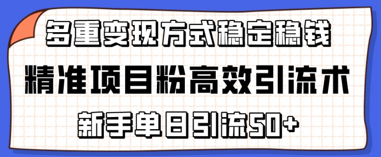 精准项目粉高效引流术，新手单日引流50+，多重变现方式稳定赚钱-搞钱社